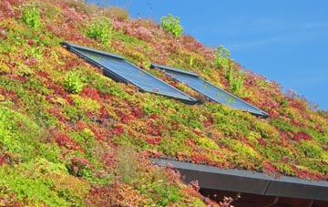 Cornhill On Tweed living roof systems